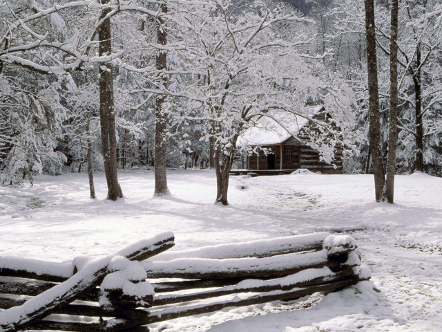 Log cabin woods snow trees free wallpaper for desktop - medium preview image