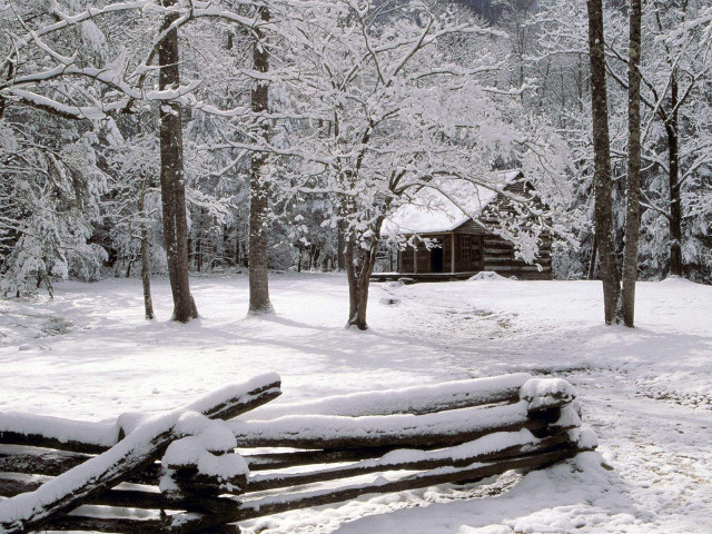 Log fence snow cabin trees #3 free wallpaper for desktop - medium preview image