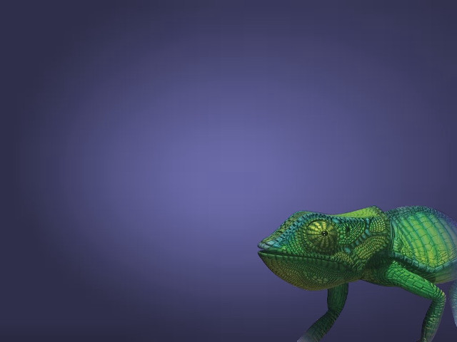 Green chameleon purple background blue free wallpaper for desktop - medium preview image