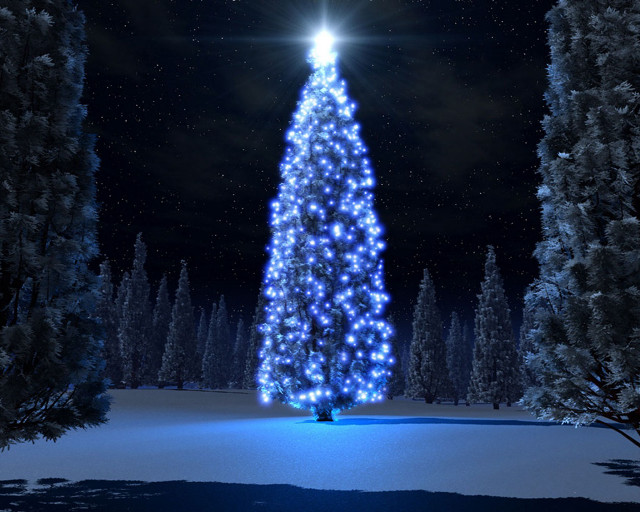 Large christmas tree lit snow #2 free wallpaper for desktop - medium preview image