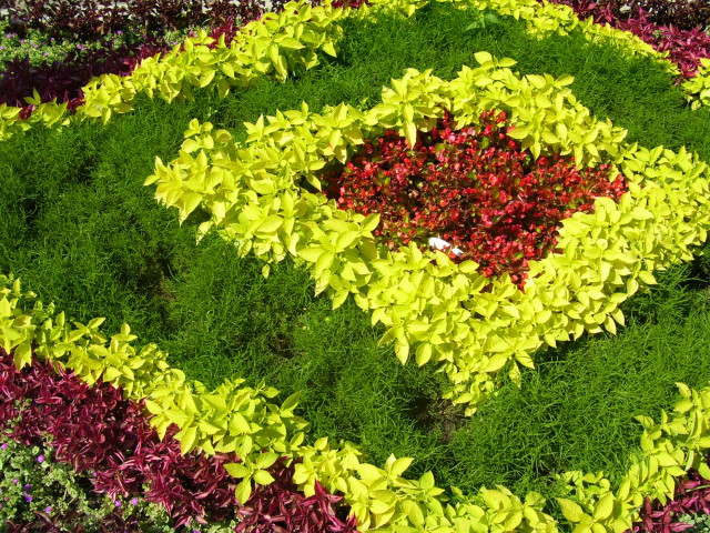 Circular flower arrangement garden green #2 free wallpaper for desktop - medium preview image