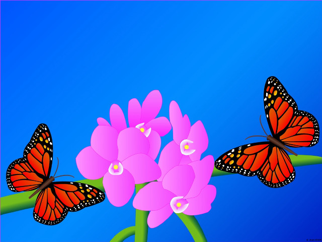 Butterflies flying pink flower blue free wallpaper for desktop - medium preview image