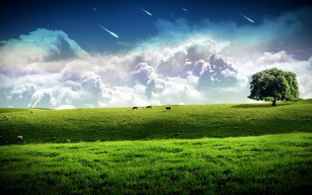 Green field tree clouds sheep #3 free wallpaper for desktop - medium preview image