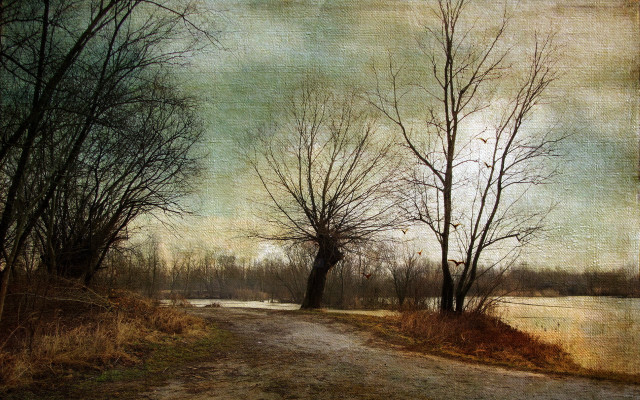 Dirt road trees water distance free wallpaper for desktop - medium preview image