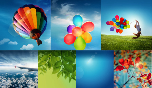 Balloons tree person air holding free wallpaper for desktop - medium preview image