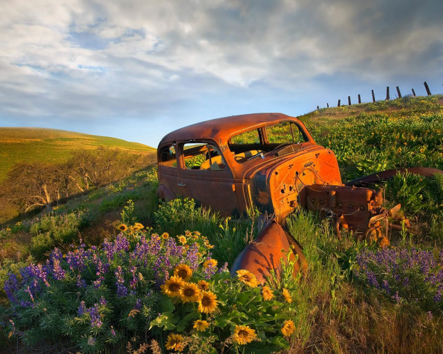 Rusty car field flowers fence #3 free wallpaper for desktop - medium preview image