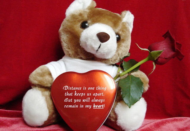 Teddy bear heart rose message free wallpaper for desktop - medium preview image