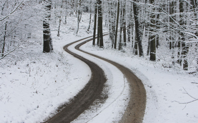 Snowy road woods curve trees free wallpaper for desktop - medium preview image