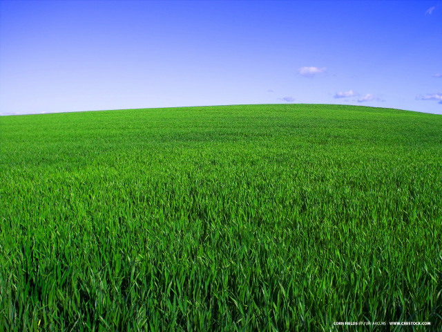 Green grass blue sky clouds #13 free wallpaper for desktop - medium preview image