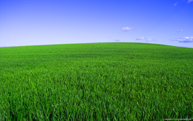 Green grass blue sky clouds #8 free wallpaper for desktop - medium preview image