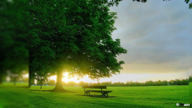 Park bench tree sunset grass free wallpaper for desktop - medium preview image