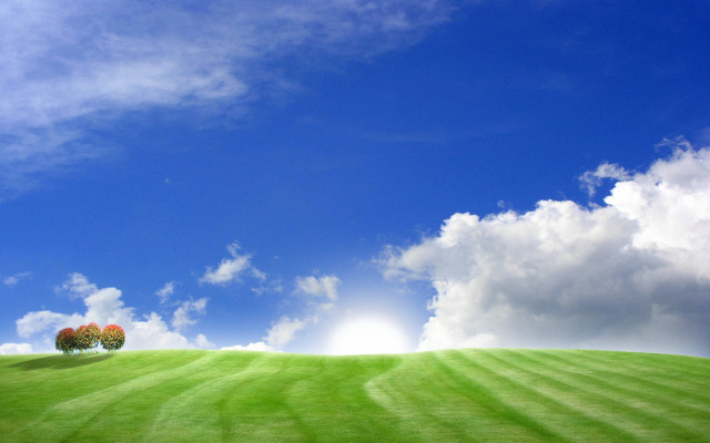 Grassy field three trees blue #2 free wallpaper for desktop - medium preview image