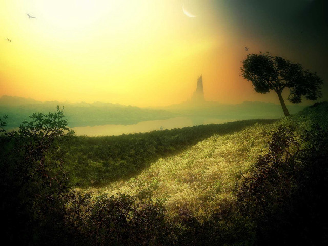 Sunset tree hill bird flying free wallpaper for desktop - medium preview image