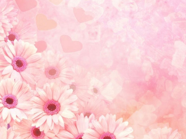 Pink background white flowers hearts free wallpaper for desktop - medium preview image