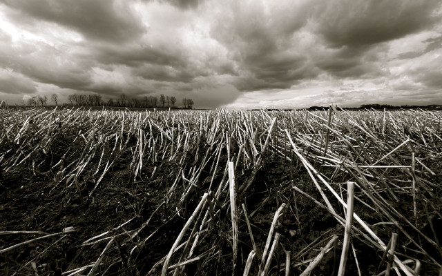 Stormy cloudy sky grass bare free wallpaper for desktop - medium preview image