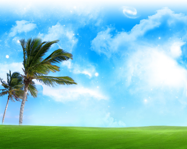 Palm tree grassy field blue free wallpaper for desktop - medium preview image