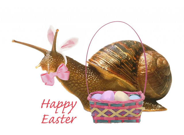 Snail basket eggs happy easter free wallpaper for desktop - medium preview image