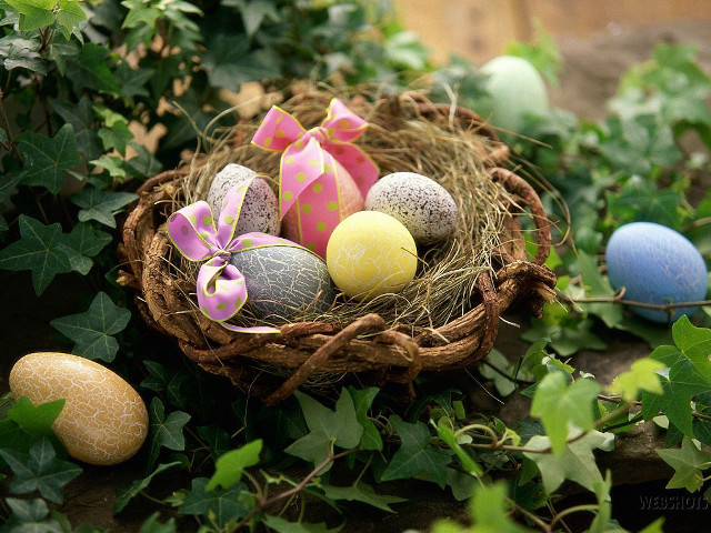 Basket filled eggs green field #4 free wallpaper for desktop - medium preview image