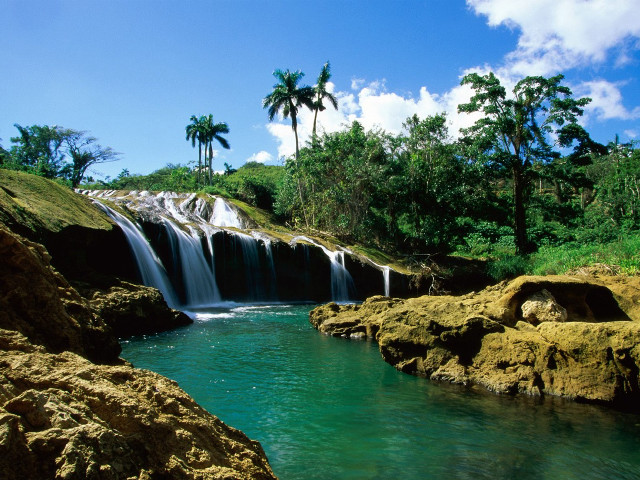 Tropical waterfall cascade palm trees free wallpaper for desktop - medium preview image