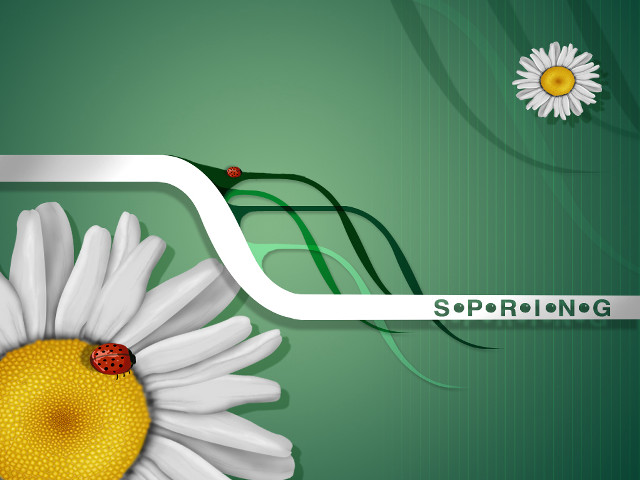 White flower ladybug green background free wallpaper for desktop - medium preview image