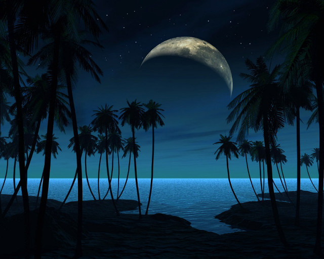 Full moon tropical island night #2 free wallpaper for desktop - medium preview image
