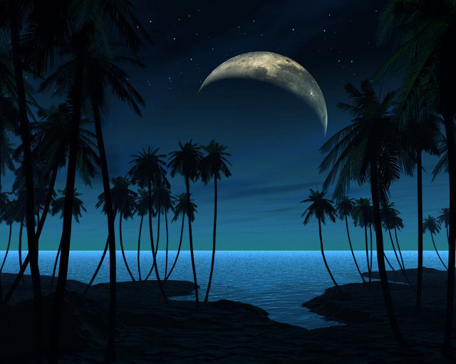 Full moon tropical island night #3 free wallpaper for desktop - medium preview image
