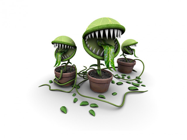 Biopunk plant mouths teeth leaves free wallpaper for desktop - medium preview image