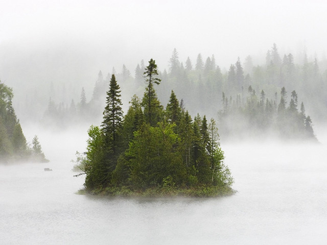 Small island lake trees foggy #2 free wallpaper for desktop - medium preview image
