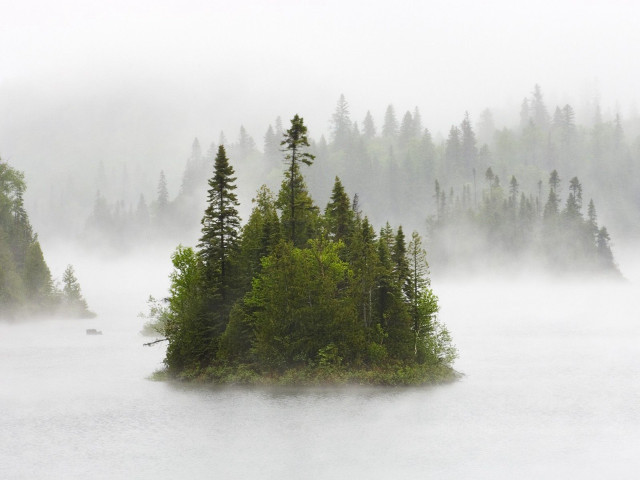 Small island lake trees foggy #4 free wallpaper for desktop - medium preview image