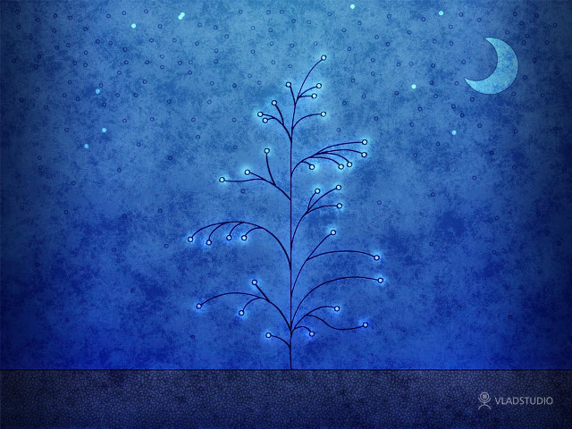 Blue background plant moon stars free wallpaper for desktop - medium preview image