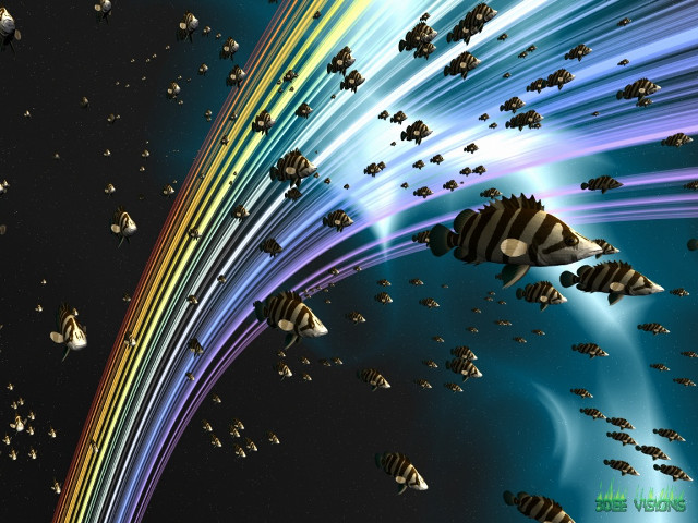 Rainbow fish ocean sky water free wallpaper for desktop - medium preview image