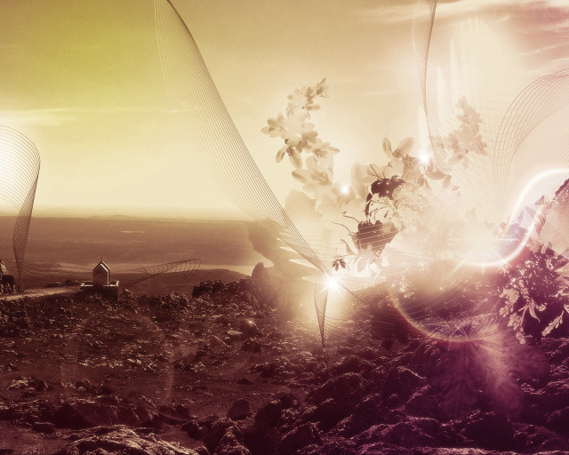 Landscape person walking path hill #3 free wallpaper for desktop - medium preview image