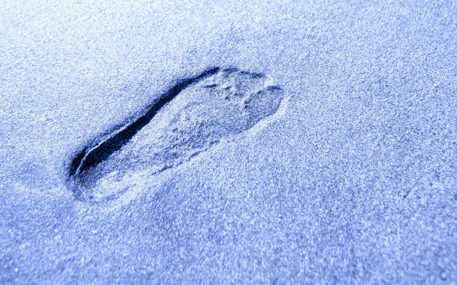 Footprint snow sunny day blue free wallpaper for desktop - medium preview image