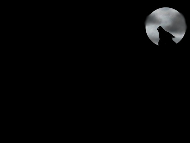 Wolf dark fullmoon blacksky clouds free wallpaper for desktop - medium preview image