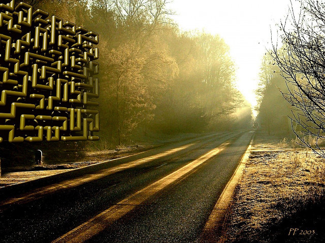 Road yellow sign trees background #2 free wallpaper for desktop - medium preview image