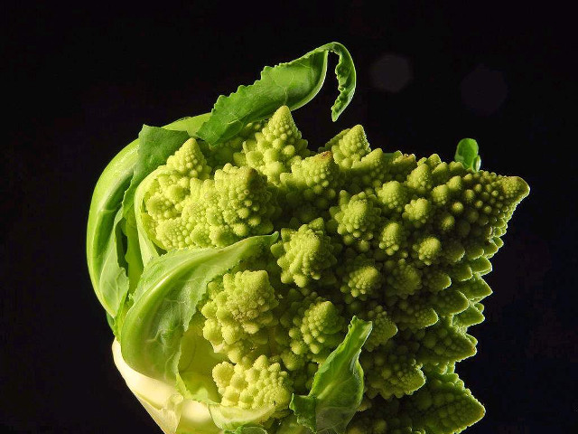 Broccoli fractals macro black background free wallpaper for desktop - medium preview image