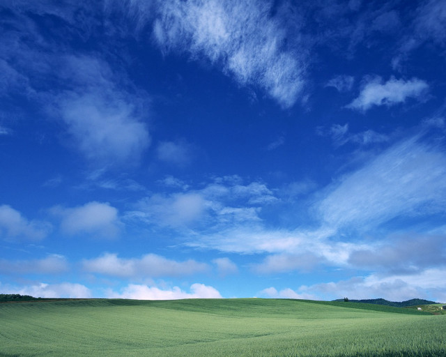 Grass field blue sky clouds free wallpaper for desktop - medium preview image