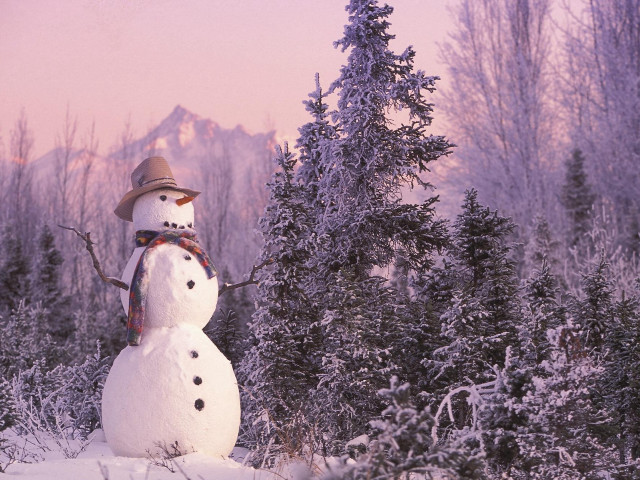 Snowman hat scarf snow forest #4 free wallpaper for desktop - medium preview image