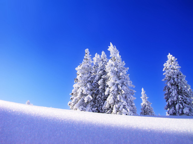Snow covered hill trees blue #5 free wallpaper for desktop - medium preview image
