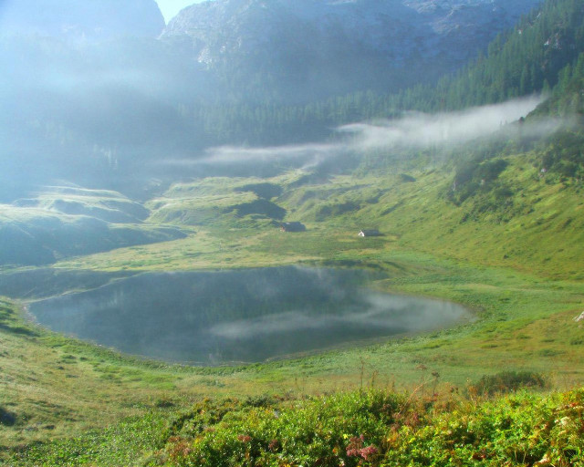 Mountain lake fog grass foreground free wallpaper for desktop - medium preview image