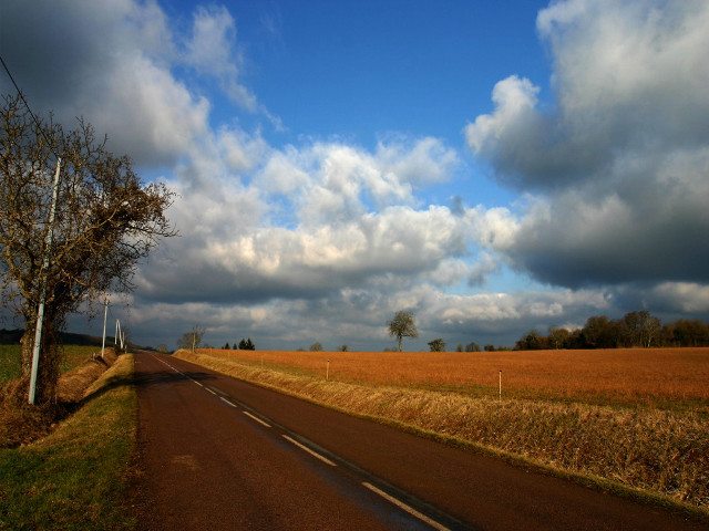 Road tree field clouds sky #2 free wallpaper for desktop - medium preview image