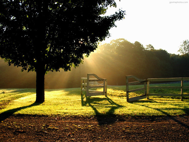 Benches field tree fence couple free wallpaper for desktop - medium preview image