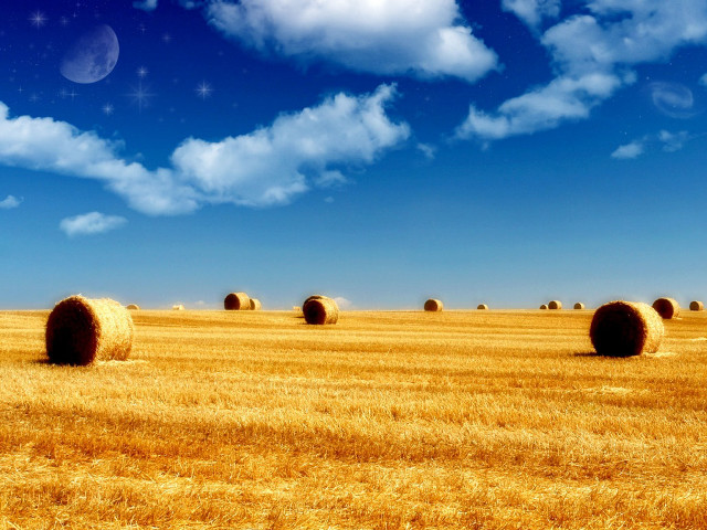 Hay field bales full moon free wallpaper for desktop - medium preview image