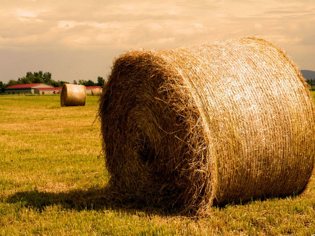 Hay bale field barn cloudy #2 free wallpaper for desktop - medium preview image
