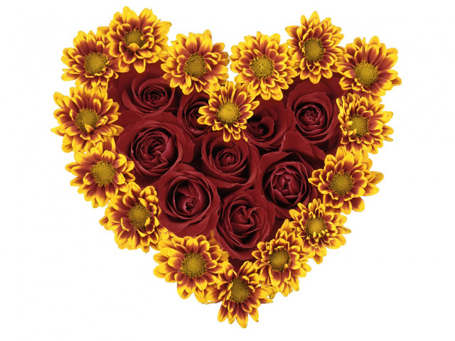 Heart sunflowers roses red yellow #3 free wallpaper for desktop - medium preview image