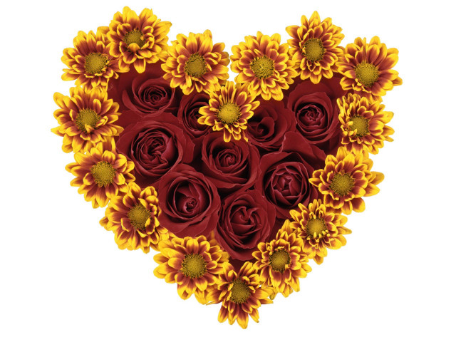 Heart sunflowers roses red yellow free wallpaper for desktop - medium preview image