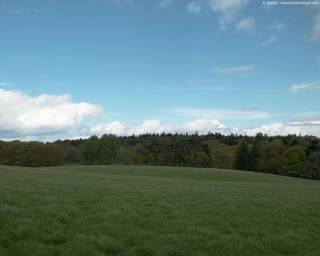 Field trees blue sky clouds #2 free wallpaper for desktop - medium preview image