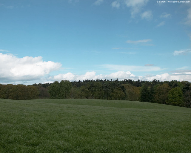 Field trees blue sky clouds #3 free wallpaper for desktop - medium preview image