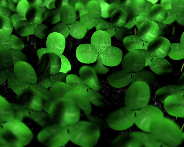 Green leaves black background green #4 free wallpaper for desktop - medium preview image