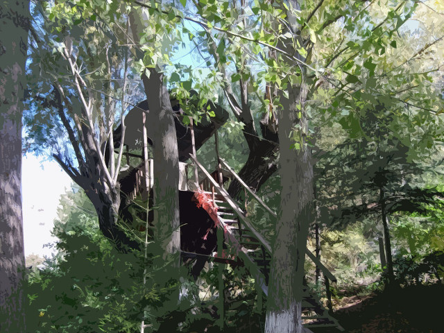 Tree house forest ladder upside free wallpaper for desktop - medium preview image